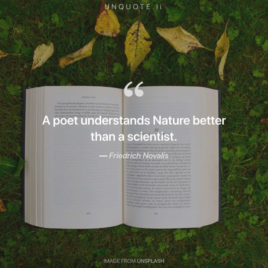 Image from Unsplash remixed with quote from Friedrich Novalis.