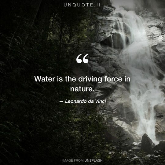 Image from Unsplash remixed with quote from Leonardo da Vinci.