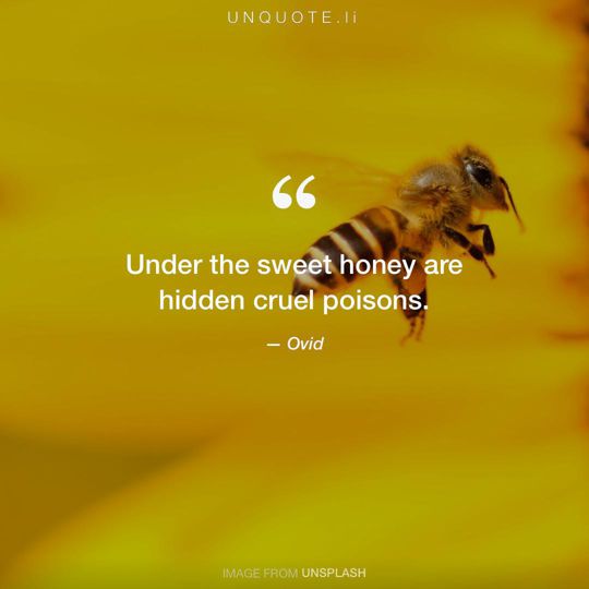 Image from Unsplash remixed with quote from Ovid.
