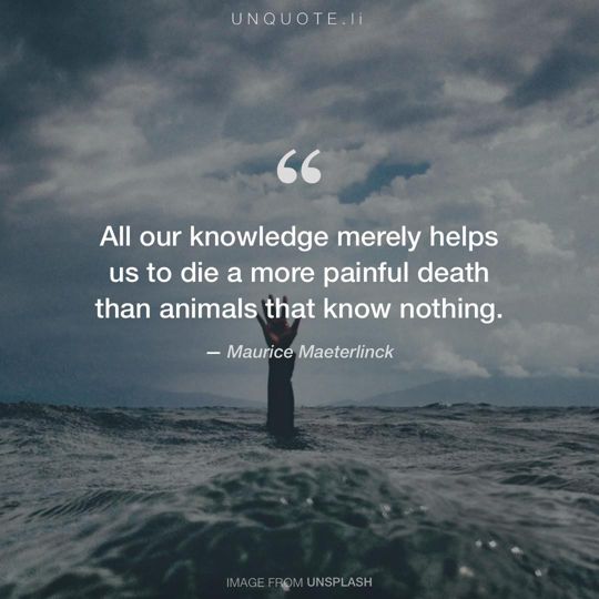 Image from Unsplash remixed with quote from Maurice Maeterlinck.