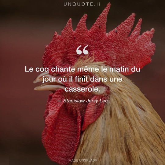 Image d'Unsplash remixée avec citation de Stanislaw Jerzy Lec.