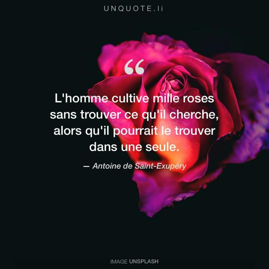 Image d'Unsplash remixée avec citation de Antoine de Saint-Exupéry.