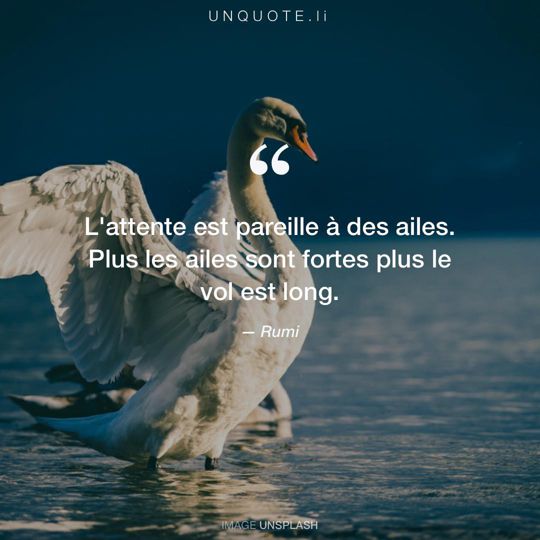 Image d'Unsplash remixée avec citation de Rumi.