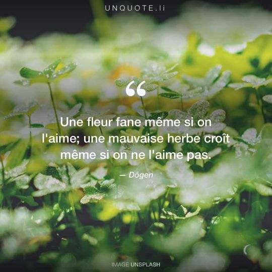 Image d'Unsplash remixée avec citation de Dōgen.