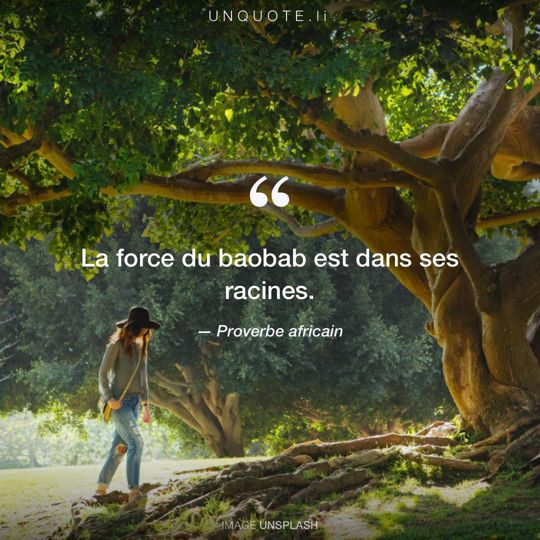 Image d'Unsplash remixée avec Proverbe africain.