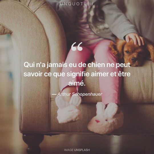 Image d'Unsplash remixée avec citation de Arthur Schopenhauer.