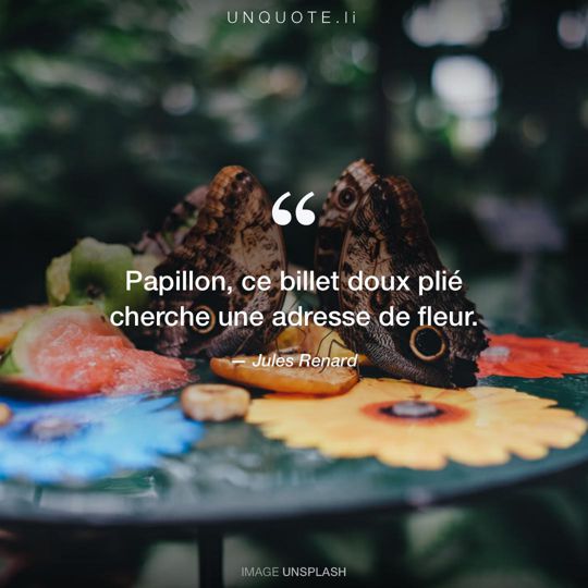 Image d'Unsplash remixée avec citation de Jules Renard.