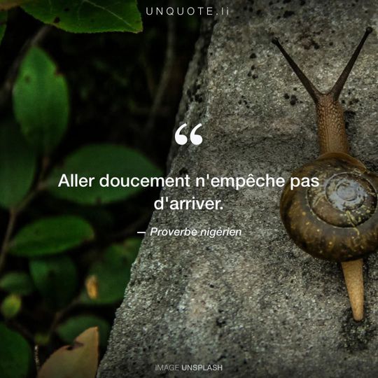 Image d'Unsplash remixée avec Proverbe nigérien.