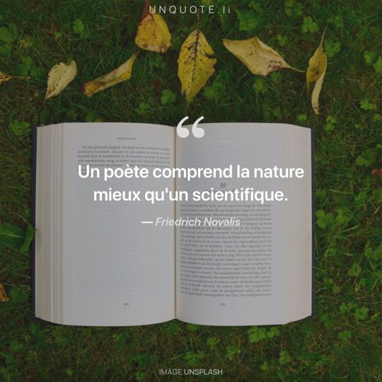 Image d'Unsplash remixée avec citation de Friedrich Novalis.