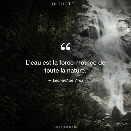 Image d'Unsplash remixée avec citation de Léonard de Vinci.