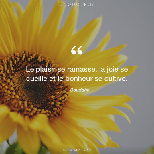 Image d'Unsplash remixée avec citation de Bouddha.