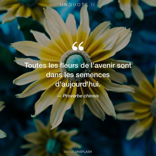 Image d'Unsplash remixée avec Proverbe chinois.