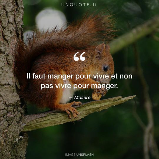 Image d'Unsplash remixée avec citation de Molière.