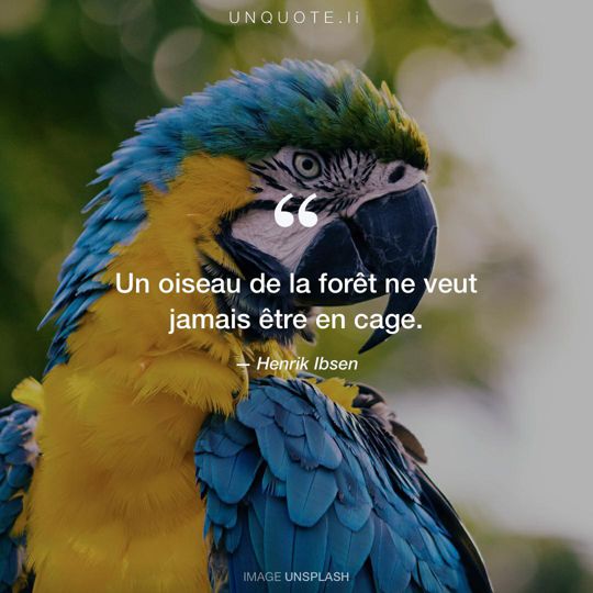 Image d'Unsplash remixée avec citation de Henrik Ibsen.