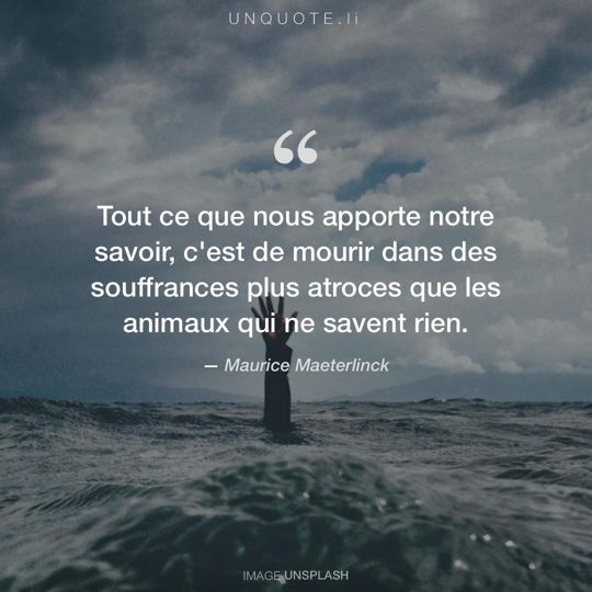 Image d'Unsplash remixée avec citation de Maurice Maeterlinck.