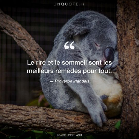 Image d'Unsplash remixée avec Proverbe irlandais.