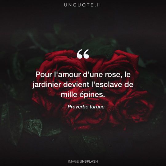 Image d'Unsplash remixée avec Proverbe turque.