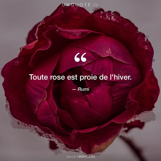 Image d'Unsplash remixée avec citation de Rumi.