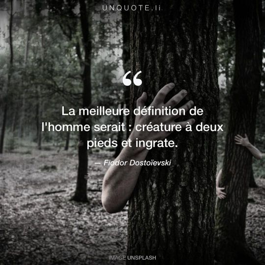 Image d'Unsplash remixée avec citation de Fiodor Dostoïevski.