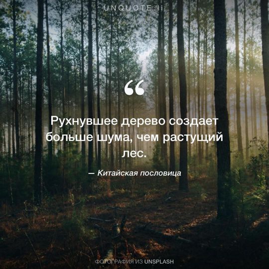 Фотографии от Unsplash Китайская пословица.