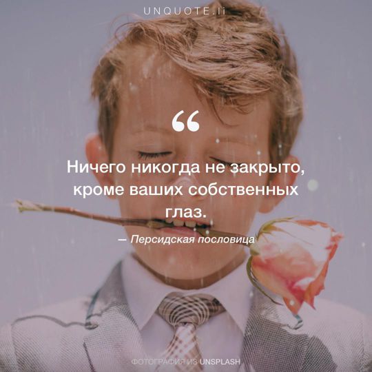Фотографии от Unsplash Персидская пословица.