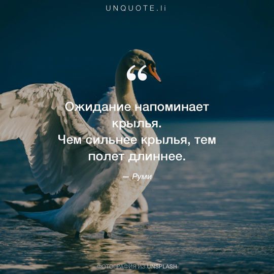 Фотографии от Unsplash цитата: Руми.