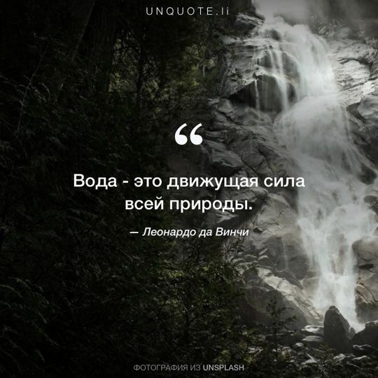 Фотографии от Unsplash цитата: Леонардо да Винчи.