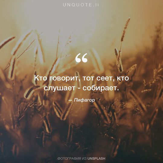 Фотографии от Unsplash цитата: Пифагор.