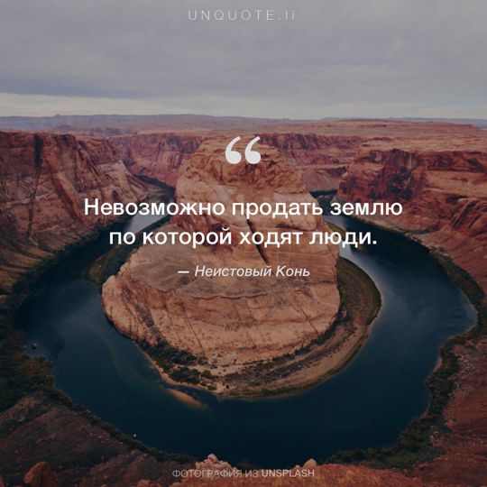 Фотографии от Unsplash цитата: Неистовый Конь.