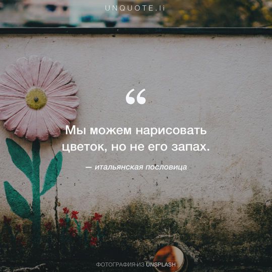 Фотографии от Unsplash итальянская пословица.