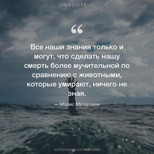 Фотографии от Unsplash цитата: Морис Метерлинк.