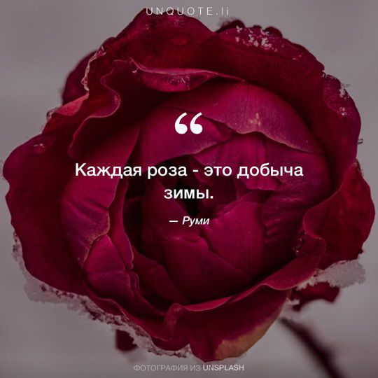 Фотографии от Unsplash цитата: Руми.