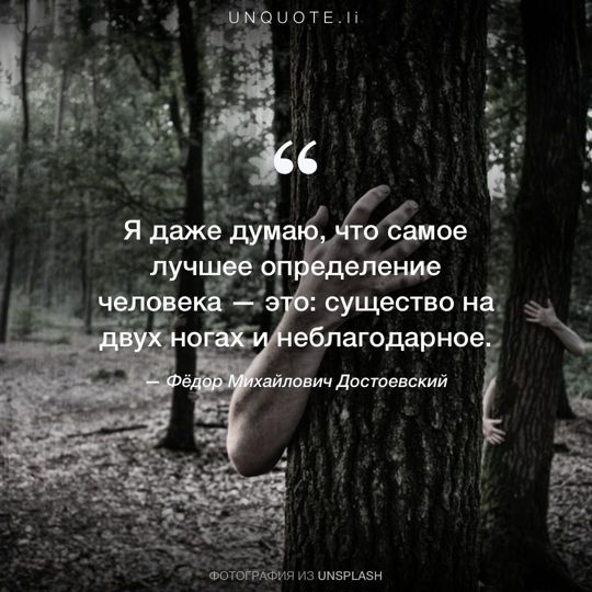 Фотографии от Unsplash цитата: Фёдор Михайлович Достоевский.